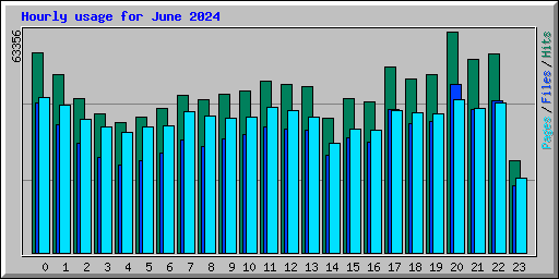 Hourly usage for June 2024