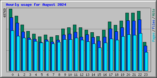 Hourly usage for August 2024