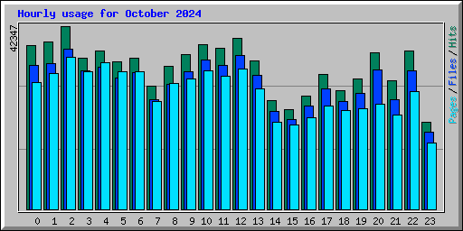 Hourly usage for October 2024