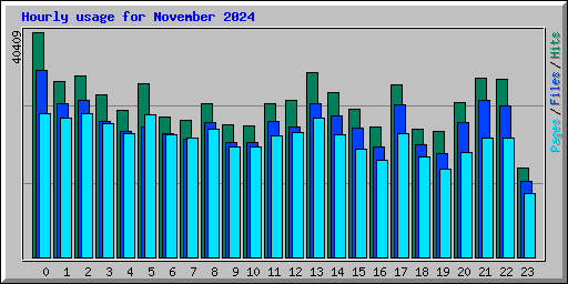 Hourly usage for November 2024