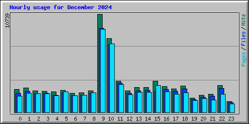 Hourly usage for December 2024